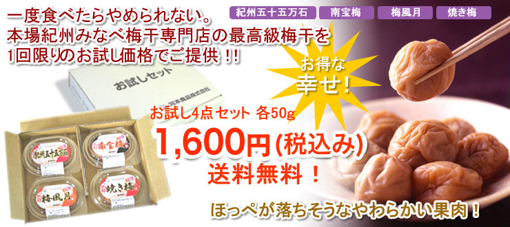 お試し4点セット各40ｇ送料無料！