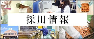 採用情報