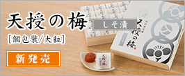 天授の梅 [個包装/大粒]