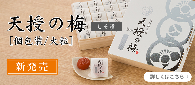 天授の梅