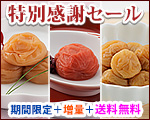 特別謝恩セール