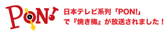 「PON!」で『焼き梅』が紹介されました！