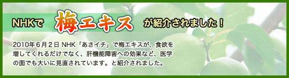 梅エキスがNHKで紹介されました。